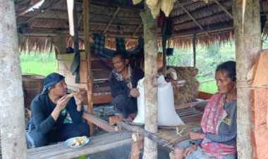 BERITA DARI PEDALAMAN